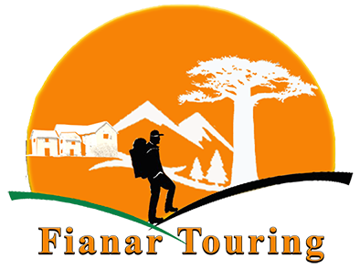 My Website